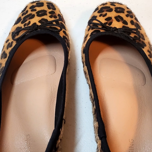 Afeetsing Leopard Flats - Picture 9 of 12